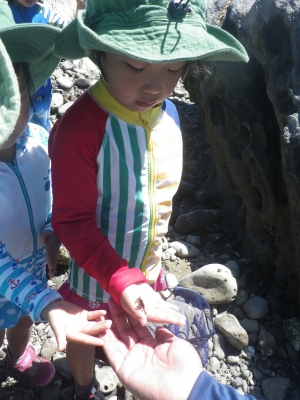 IMGP5912.JPG