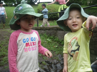 IMGP1367.JPG