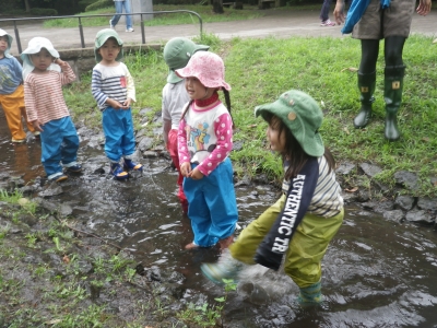 IMGP1370.JPG