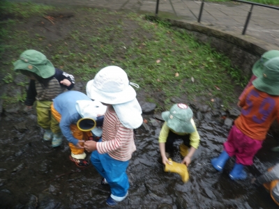 IMGP1397.JPG