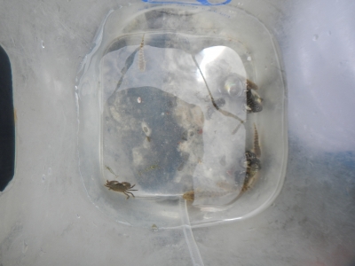 DSCN9591.JPG