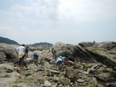 DSCN9601.JPG