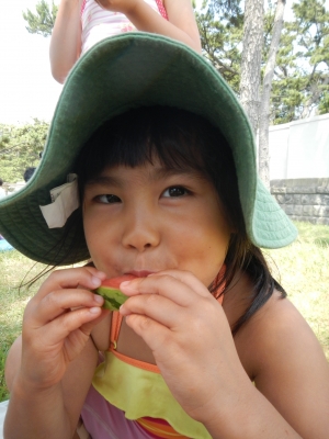 DSCN9668.JPG