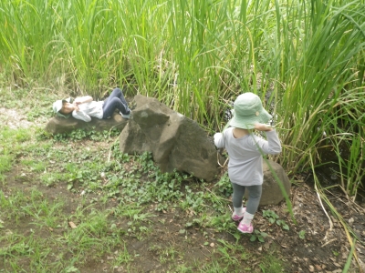 IMGP5994.JPG