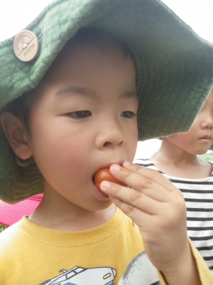 IMGP6007.JPG