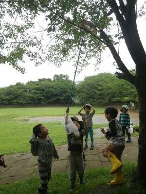 IMGP6020.JPG