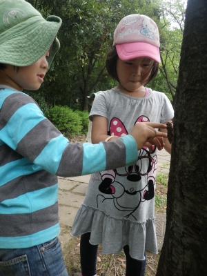IMGP6028.JPG