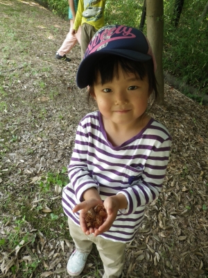 IMGP6047.JPG