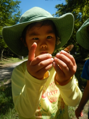 DSCN9861.JPG