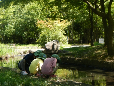 DSCN9884.JPG