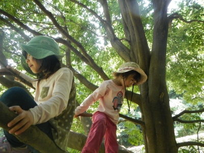 DSCN9816.JPG
