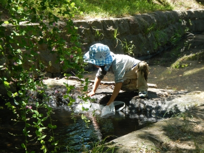 DSCN9896.JPG