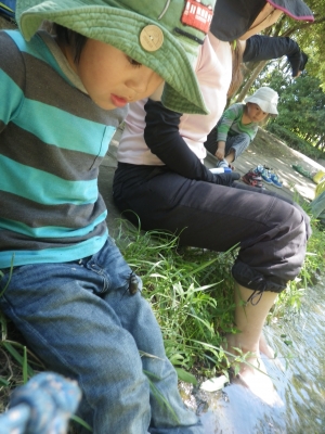 IMGP6100.JPG