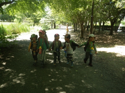 IMGP6109.JPG