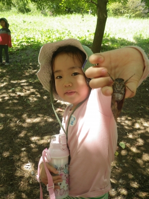 IMGP6111.JPG