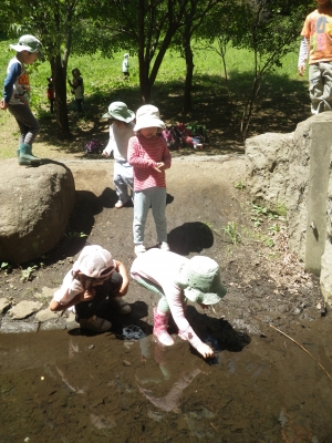 IMGP6118.JPG