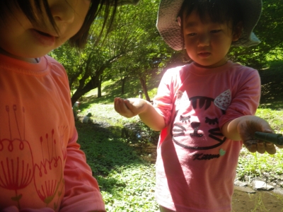 IMGP2062.JPG
