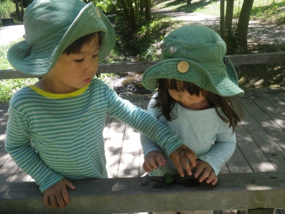 IMGP2104.JPG