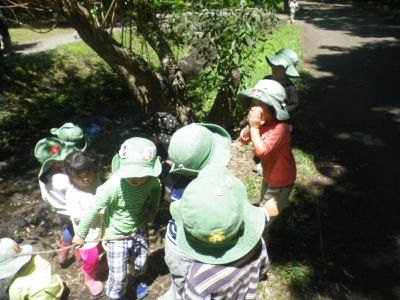 IMGP2118.JPG