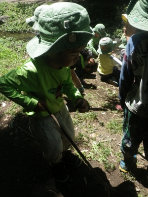 IMGP2128.JPG