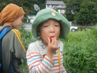 DSCN0016.JPG