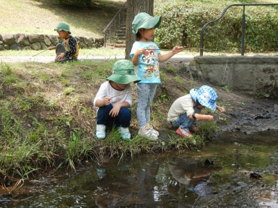 DSCN8200.JPG