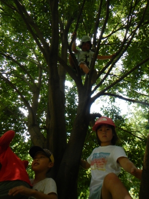 DSCN9990.JPG