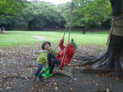 IMGP6517.JPG