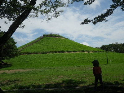 IMGP6550.JPG