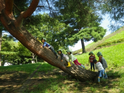 IMGP6596.JPG