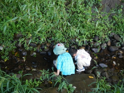 DSCN0149.JPG