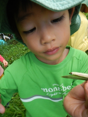 DSCN0152.JPG