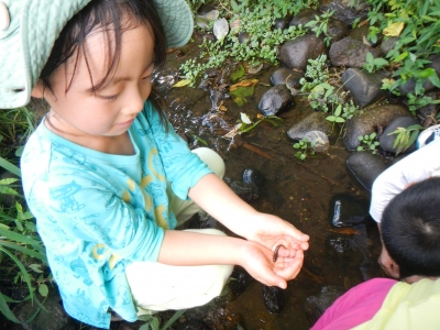 DSCN0154.JPG