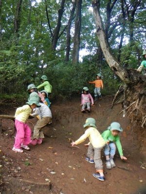 DSCN0166.JPG