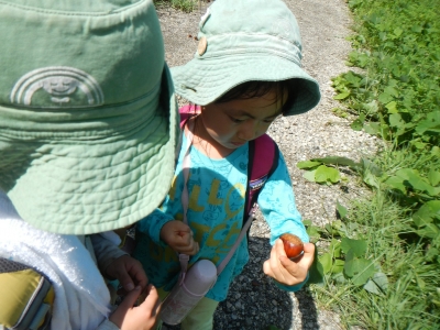 DSCN0173.JPG
