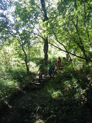 DSCN0183.JPG