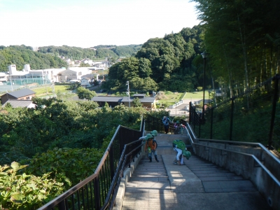 DSCN0204.JPG
