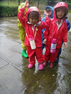 IMGP3094.JPG