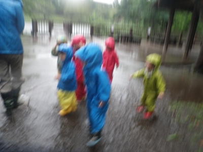 IMGP3112.JPG