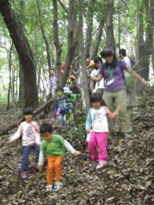 IMGP6690.JPG