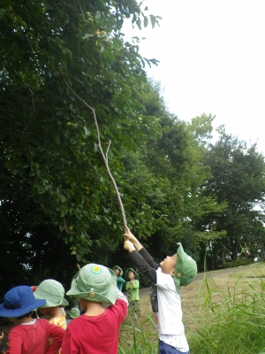 IMGP6722.JPG