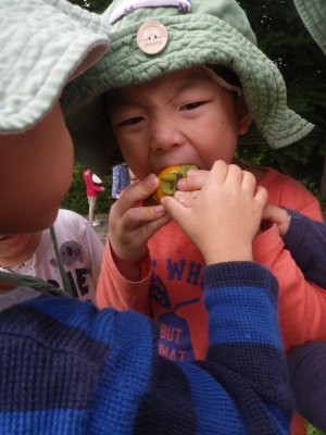 IMGP6724.JPG