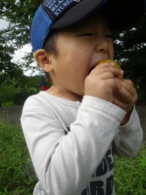 IMGP6725.JPG