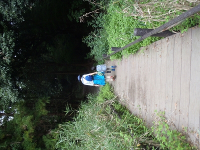 PA010003.JPG