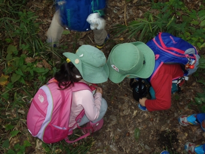PA010011.JPG