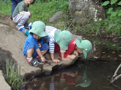 PA010020.JPG