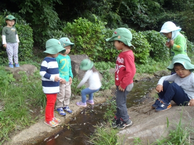 PA010028.JPG