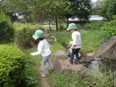 PA010036.JPG