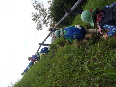 PA010049.JPG