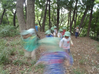 PA010070.JPG